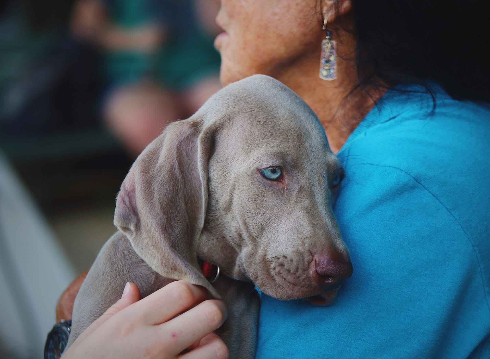 Emotional support animal policies for condos and HOAs